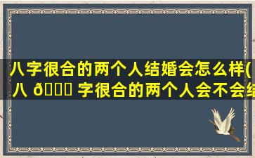 八字很合的两个人结婚会怎么样(八 🐅 字很合的两个人会不会结不 🐞 成婚)
